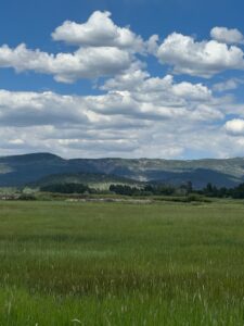 Property photo for land for sale in Rio Arriba County New Mexico