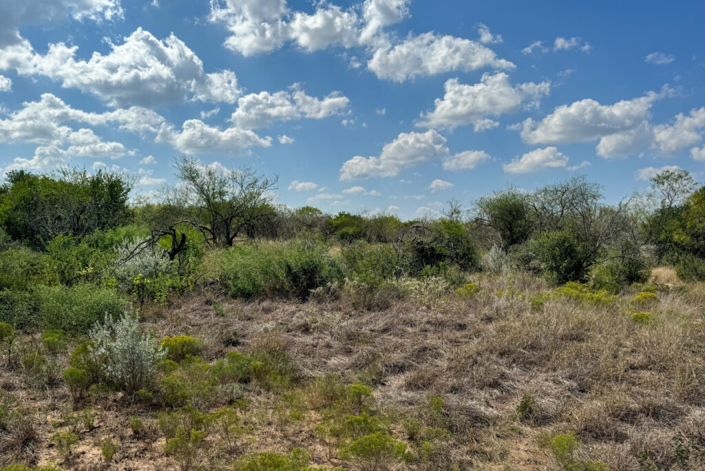 Property photo for land for sale in Live Oak County Texas