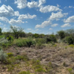Property photo for land for sale in Live Oak County Texas
