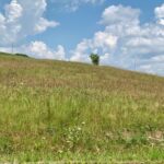 Property photo for land for sale in Putnam County Tennessee