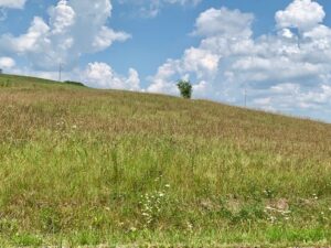 Property photo for land for sale in Putnam County Tennessee