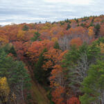 Property photo for land for sale in Lincoln County Maine