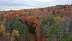 Property photo for land for sale in Lincoln County Maine