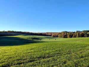 Property photo for land for sale in Floyd County Virginia