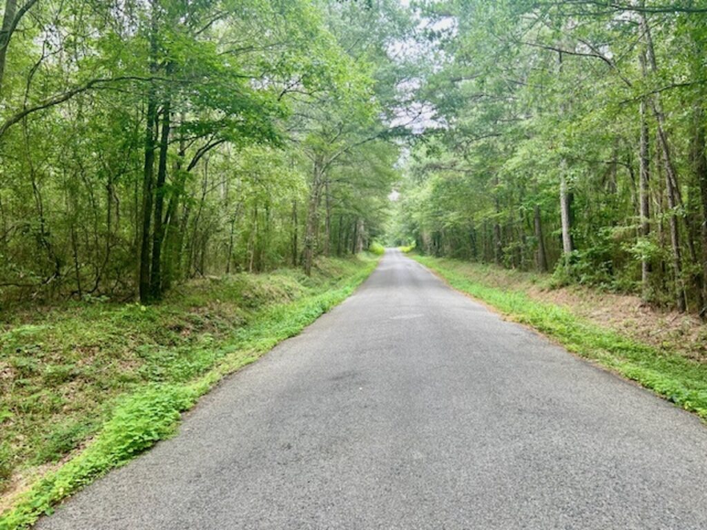 Property photo for land for sale in Covington County Mississippi