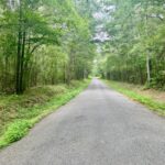Property photo for land for sale in Covington County Mississippi