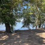 Property photo for land for sale in Delaware County Oklahoma