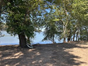 Property photo for land for sale in Delaware County Oklahoma