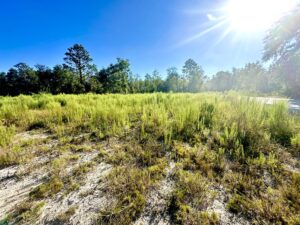 Property photo for land for sale in Suwannee County Florida