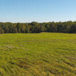 Property photo for land for sale in Yadkin County North Carolina