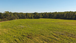 Property photo for land for sale in Yadkin County North Carolina