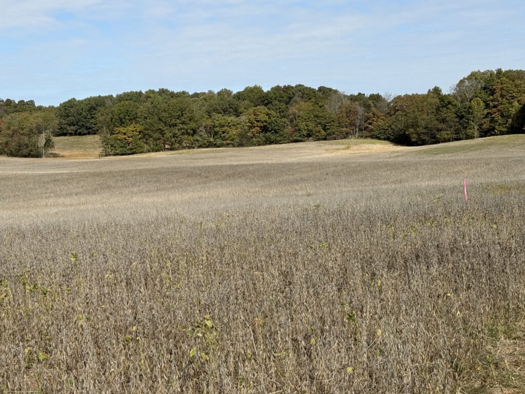 Property photo for land for sale in  County Kentucky