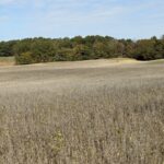 Property photo for land for sale in  County Kentucky