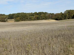 Property photo for land for sale in  County Kentucky