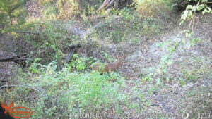 Property photo for land for sale in Taylor County Iowa