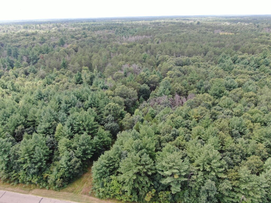 Property photo for land for sale in Adams County Wisconsin