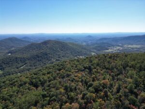 Property photo for land for sale in Albemarle County Virginia