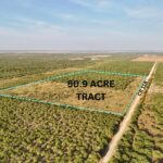 Property photo for land for sale in Jim Wells County Texas