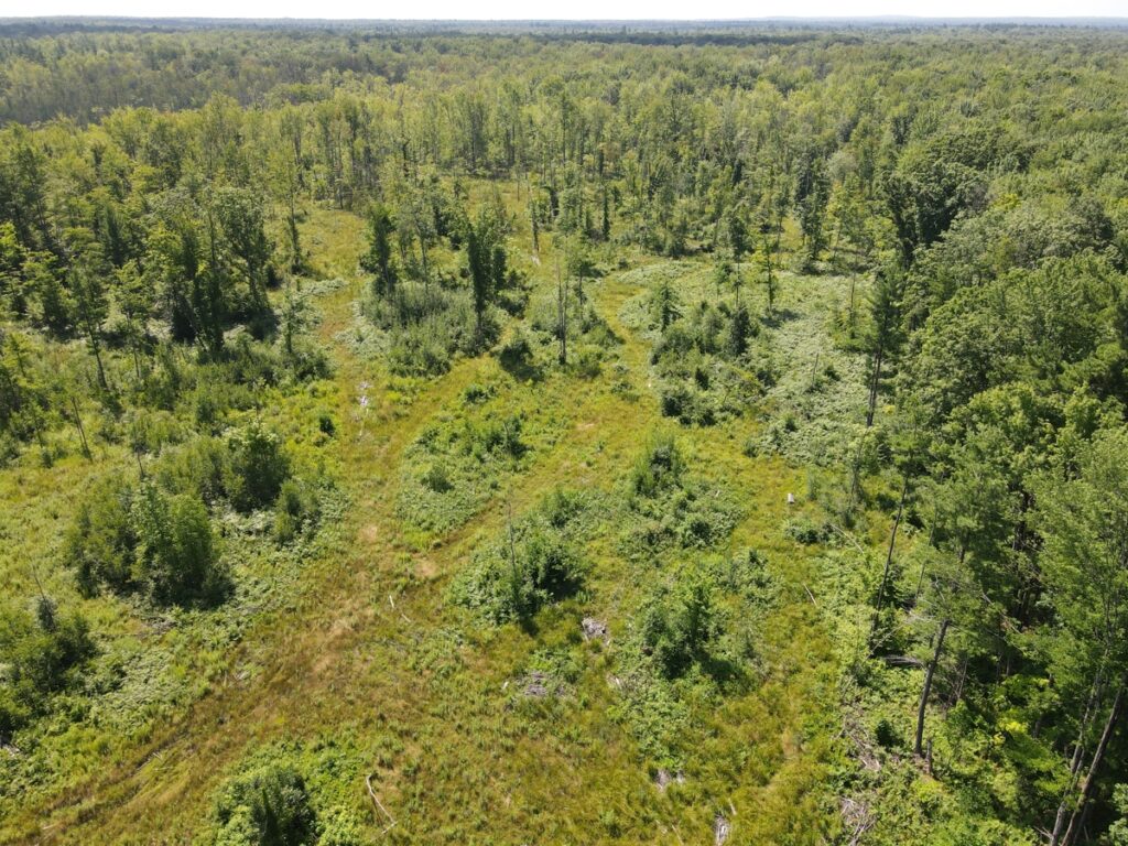 Property photo for land for sale in Newaygo County Michigan