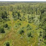 Property photo for land for sale in Newaygo County Michigan