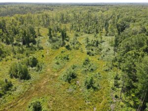 Property photo for land for sale in Newaygo County Michigan