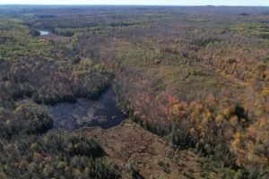 Property photo for land for sale in Ashland County Wisconsin
