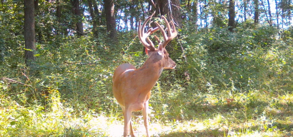 Property photo for land for sale in Clark County Missouri