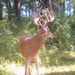 Property photo for land for sale in Clark County Missouri