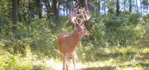 Property photo for land for sale in Clark County Missouri