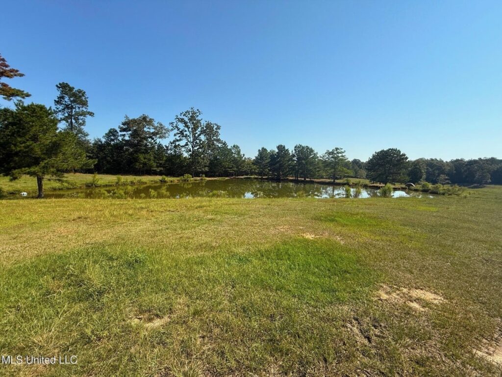 Property photo for land for sale in Pike County Mississippi