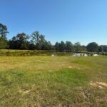 Property photo for land for sale in Pike County Mississippi