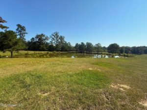 Property photo for land for sale in Pike County Mississippi