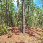 Property photo for land for sale in Marion County Florida