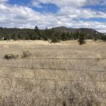 Property photo for land for sale in Lassen County California