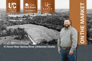 Property photo for land for sale in Fulton County Arkansas