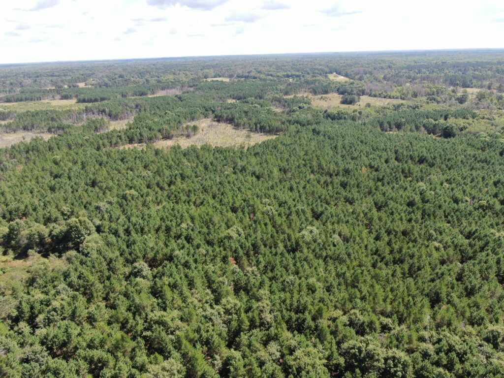 Property photo for land for sale in Adams County Wisconsin