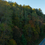 Property photo for land for sale in Wilkes County North Carolina