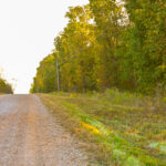 Property photo for land for sale in Cedar County Missouri