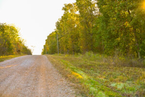 Property photo for land for sale in Cedar County Missouri