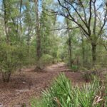 Property photo for land for sale in Columbia County Florida