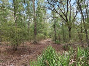 Property photo for land for sale in Columbia County Florida