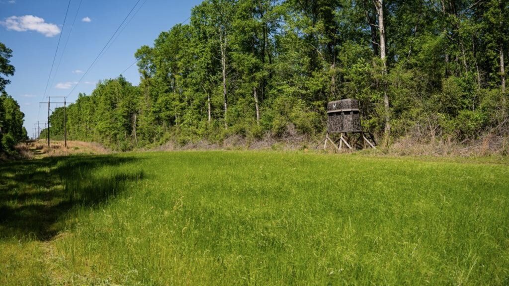Property photo for land for sale in Pike County Mississippi