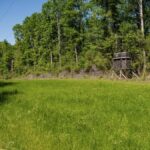 Property photo for land for sale in Pike County Mississippi