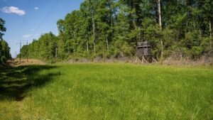 Property photo for land for sale in Pike County Mississippi