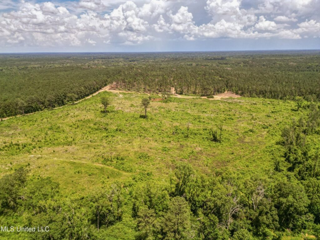 Property photo for land for sale in Amite County Mississippi