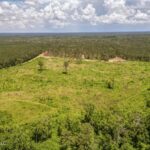 Property photo for land for sale in Amite County Mississippi