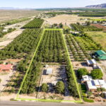 Property photo for land for sale in Dona Ana County New Mexico