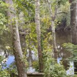Property photo for land for sale in Hamilton County Florida