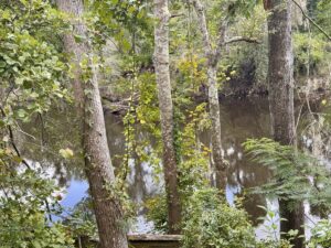 Property photo for land for sale in Hamilton County Florida