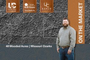 Property photo for land for sale in Ripley County Missouri